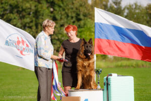 Победитель BIS «Альфа Дог» — фото с выставок собак в Александрове 21.09.2024