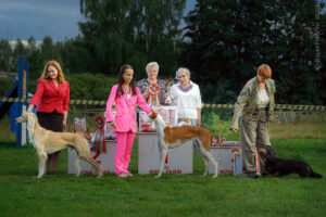 BIS. Раменское 09.08.2025