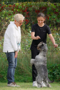 Конкурс «Ребенок и собака» (эксперт Валерия Бобикова) Электросталь 14.09.25