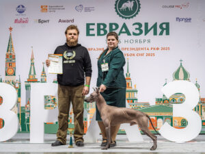 Ксолоитцкуинтли (мексиканская голая) стандарт. Фото в фотозоне с владельцем и хэндлером. «Евразия. Кубок Президента РКФ 2025», Крокус-Экспо, 15.11.2025