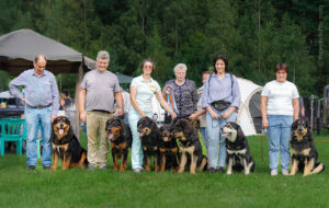 Монопородная выставка хотошо. Раменское 09.08.2025