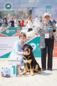 Хотошо «Россия 2025»