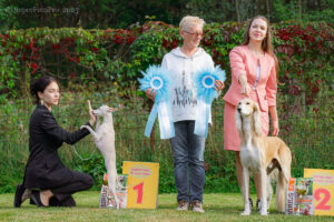 BIG 10 группы клуба «4 лапы» (Электросталь 14.09.2025)