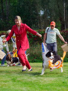 BIS клуба «4 лапы» (Электросталь 14.09.2025)