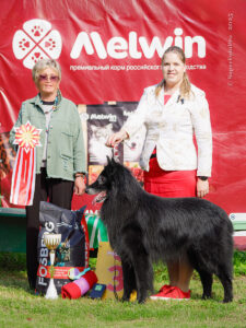 BIS ветеранов — грюнендаль с экспертом Галиаскаровой Л.В. Балашиха, 06.09.2025