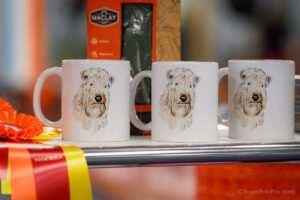 Призы. Монопородная выставка ирландских мягкошерстных пшеничных терьеров 01.11.2025. Москва, ВЦ «Сфера»