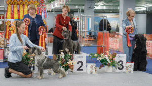 Отдельная выставка САС 2 группы 01.11.2025. Москва, ВЦ «Сфера»