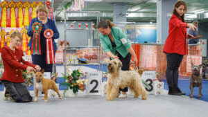 Отдельная выставка САС 3 группы 01.11.2025. Москва, ВЦ «Сфера»