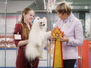 BISV-3 выставки САС ЧФ клуба «Олимп» 01.11.2025. Москва, ВЦ «Сфера»