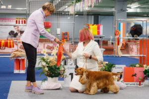 BIG 8 группы выставки САС ЧФ клуба «Олимп» 01.11.2025. Москва, ВЦ «Сфера»