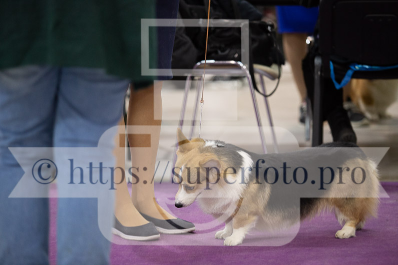 _MG_1626