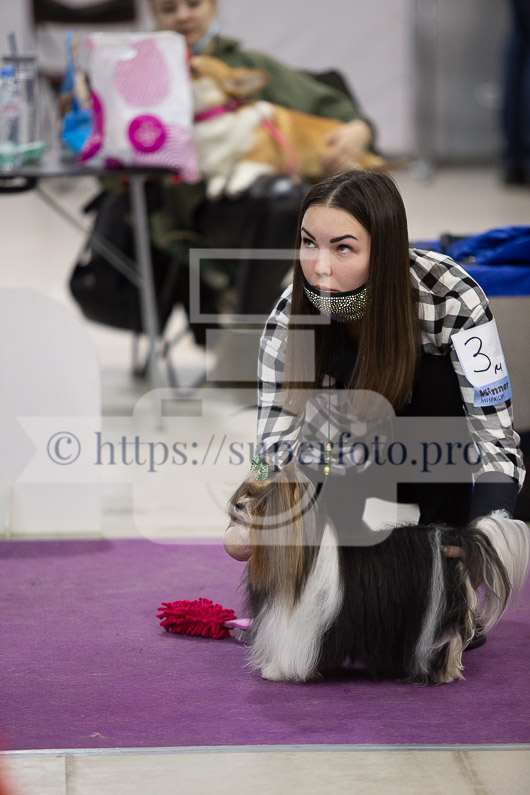 _MG_2156