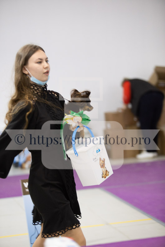 _MG_2203