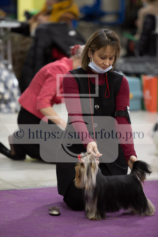 _MG_2255