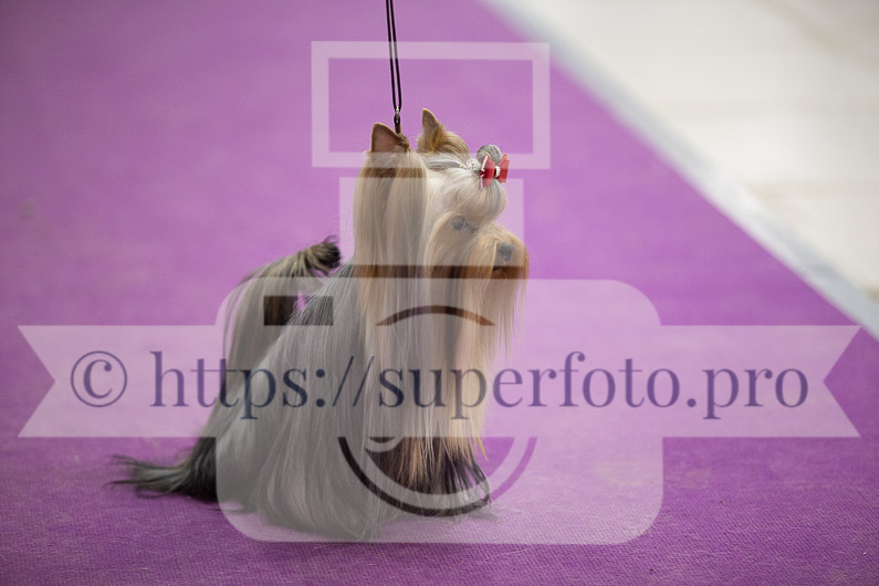 _MG_2300