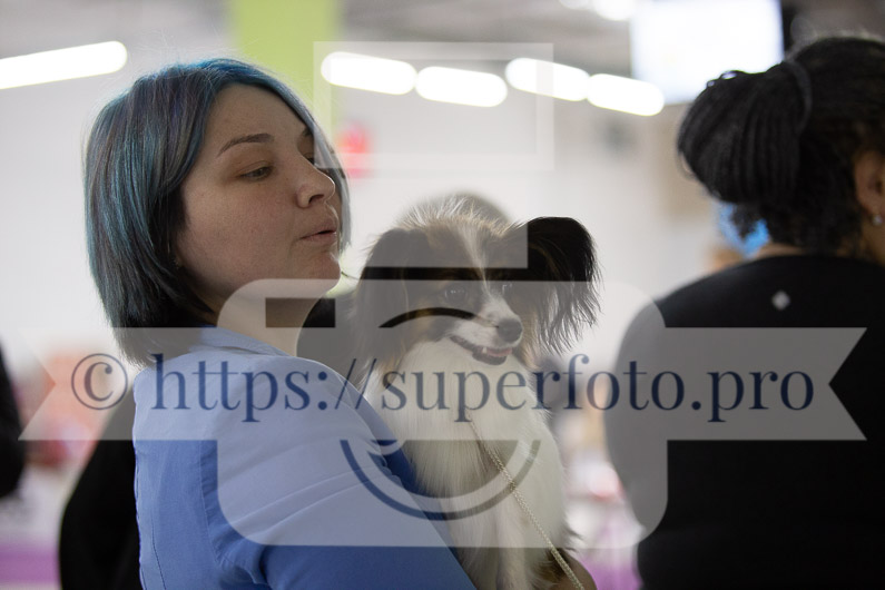 _MG_2441