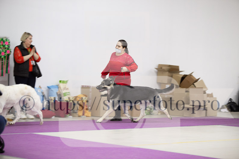 _MG_2505