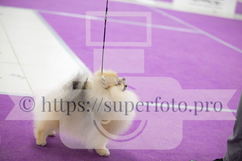 _MG_2859