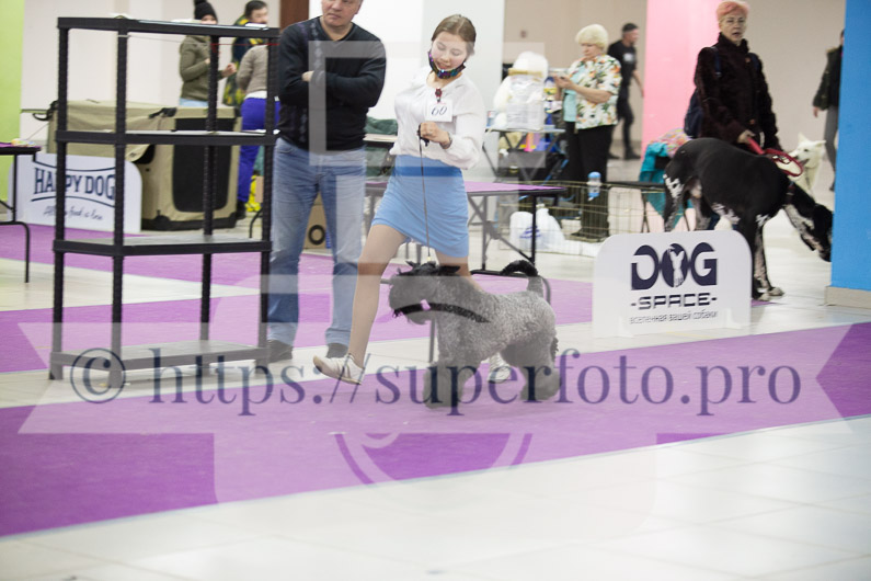 _MG_2975
