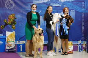 Best In Show 04.11.2020