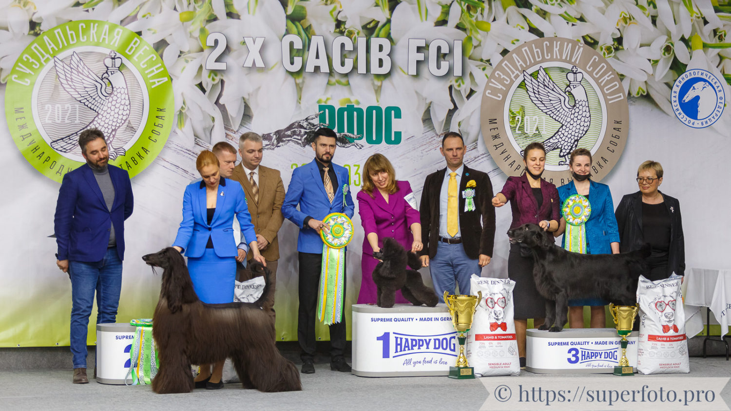 BEST IN SHOW CACIB FCI «Суздальский Сокол» 21.03.2021