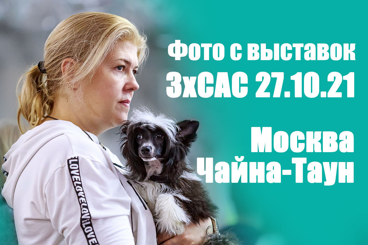 Фото с выставок в Москве 27.10.21 3xCAC отдельных групп FCI