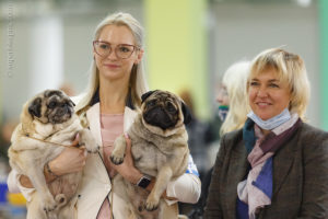 Фото с выставок собак клуб «Идеал» 04.11.2020