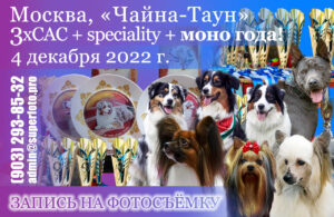 Запись на фото на выставках собак 4 декабря 2022 года