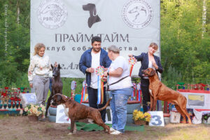 Победители Шоу Чемпионов