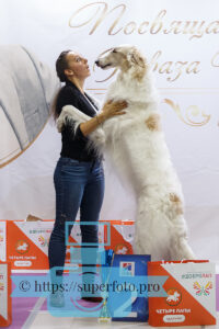 Русская псовая борзая. Выставка памяти Реваза Хомасуридзе 27.03.2022, Москва