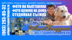 Визитка 2025. Фото Олеси Легостаевой. Фотограф-анималист и веб-разработчик Людмила Бандурина. Фото на выставках, фотосъёмка щенков и котят, рекламные презентации, создание сайтов. Выездная профессиональная студийная съёмка.