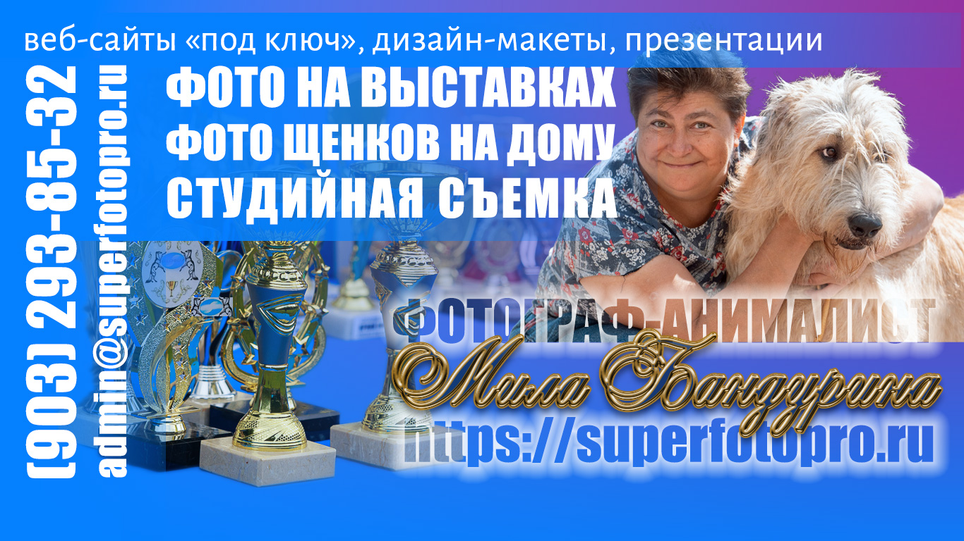Фотограф-анималист и веб-разработчик Людмила Бандурина. Фото на выставках, фотосъёмка щенков и котят, рекламные презентации, создание сайтов. Выездная профессиональная студийная съёмка.