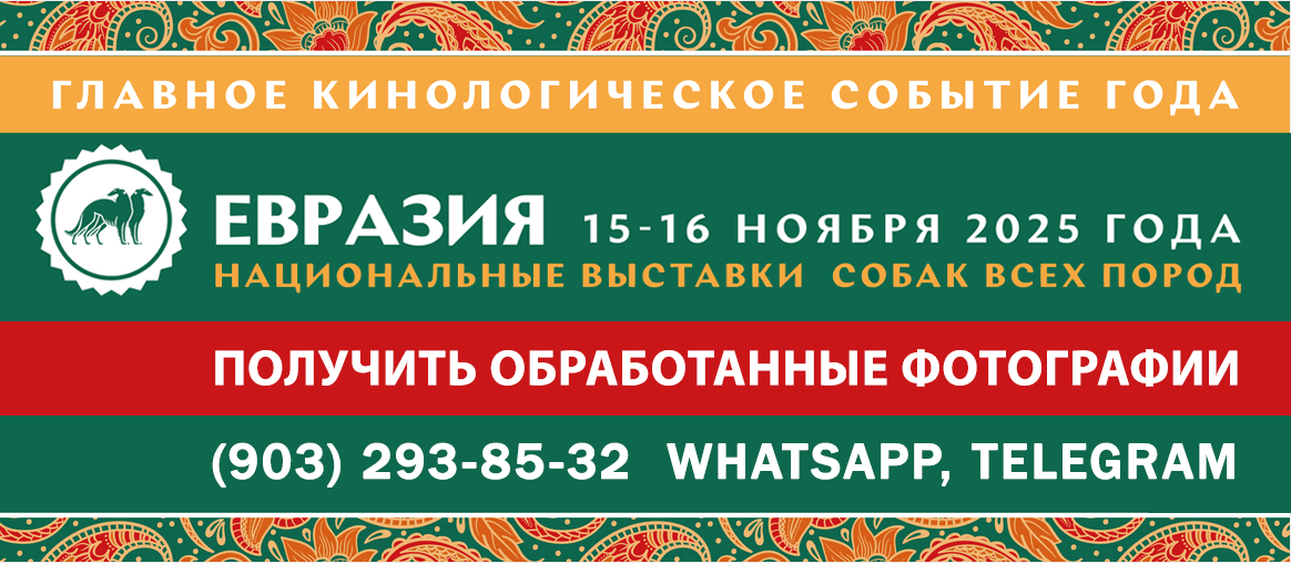 Информация для получения фото с выставок собак «Евразия 2025»