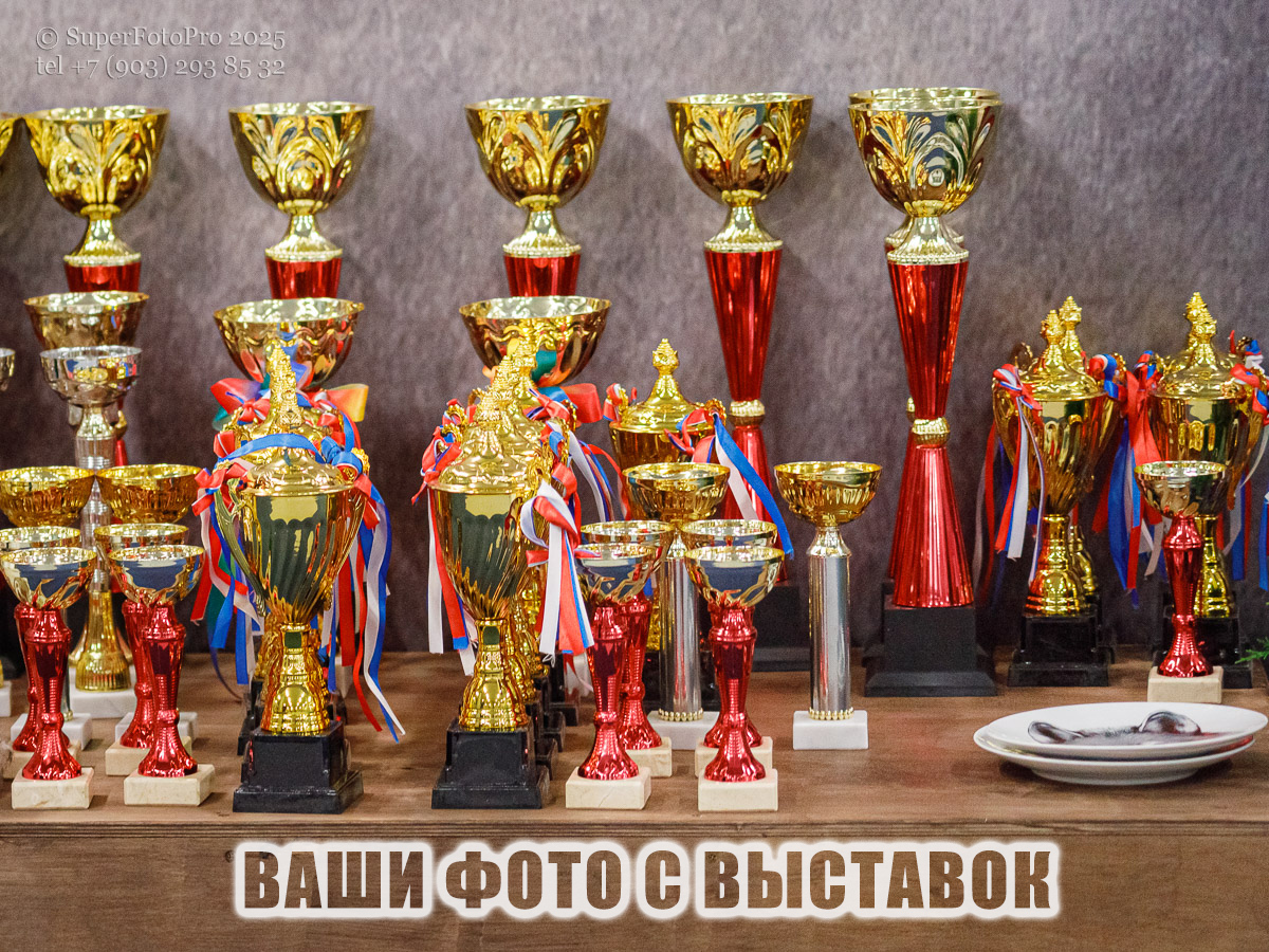 Превью для выбора и приобретения фото с выставок собак, прошедших в Москве и Подмосковье зимой 2025-26 года. Фотограф Мила Бандурина — SuperFotoPro