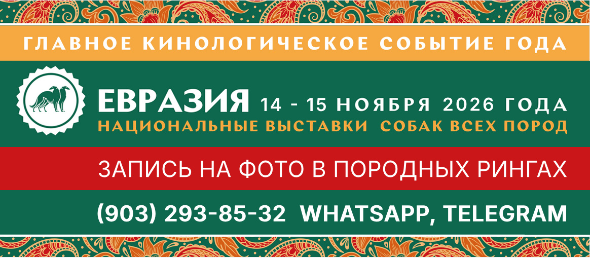 Запись на фото на выставках собак «Евразия» 14-15.11.26
